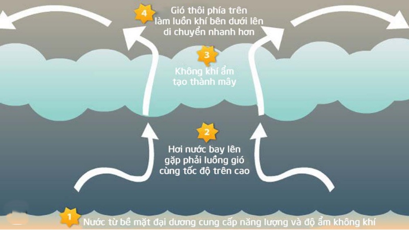 bão hình thành như thế nào