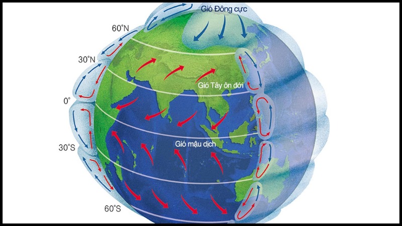 đặc điểm của gió đông cực