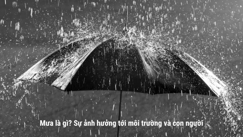 Mưa là gì? Lợi ích, tác hại và các giai đoạn hình thành mưa